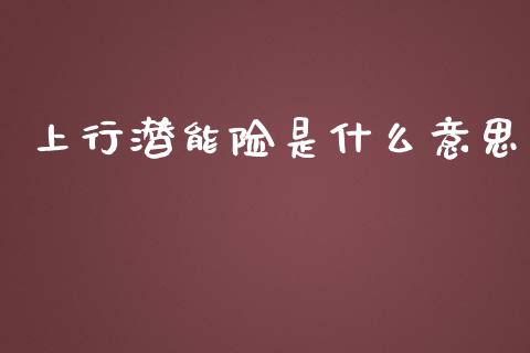 上行潜能险是什么意思_https://cj006.lansai.wang_财经新闻_第1张