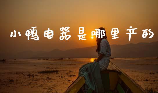 小鸭电器是哪里产的_https://cj006.lansai.wang_外汇交易_第1张