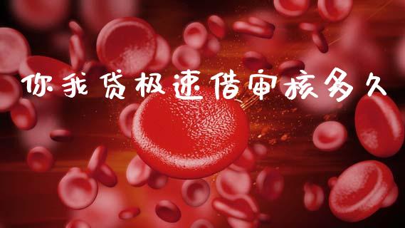 你我贷极速借审核多久_https://cj006.lansai.wang_金融监管_第1张