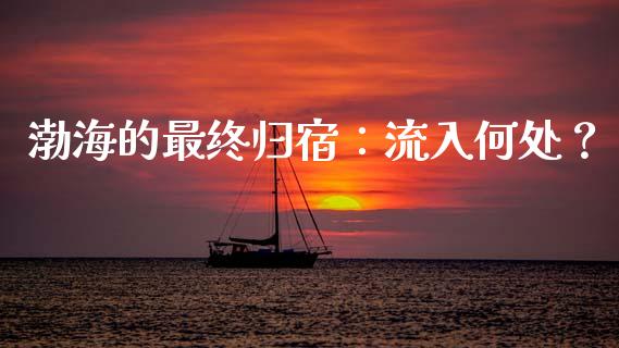 渤海的最终归宿：流入何处？_https://cj006.lansai.wang_期货开户_第1张