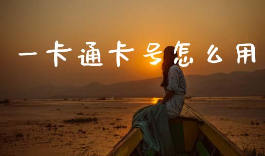 一卡通卡号怎么用_https://cj006.lansai.wang_财经新闻_第1张
