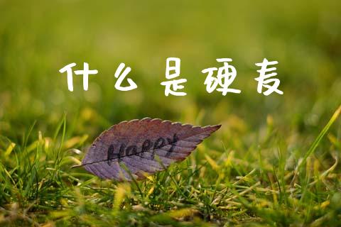 什么是硬麦_财经新闻_第1张_期货开户_金融监管_外汇交易_债券资讯_全球市场_财经新闻 什么是硬麦_https://cj006.lansai.wang_财经新闻_第1张