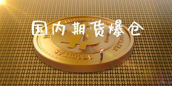 国内期货爆仓_https://cj006.lansai.wang_外汇交易_第1张