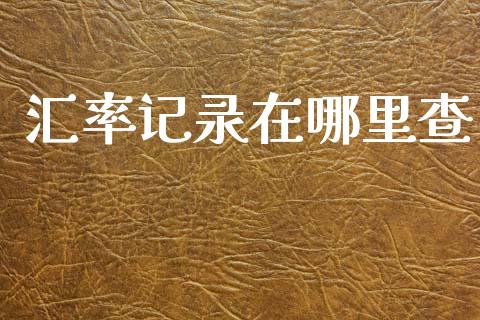 汇率记录在哪里查_https://cj006.lansai.wang_全球市场_第1张