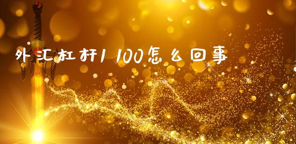 外汇杠杆1 100怎么回事_https://cj006.lansai.wang_金融监管_第1张