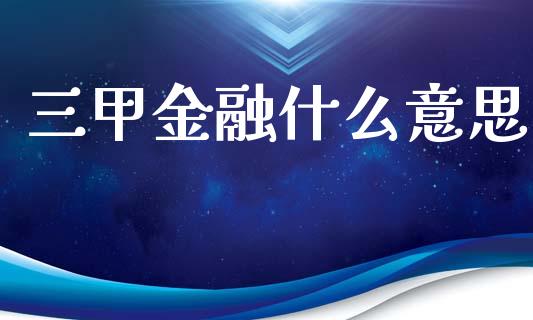 三甲金融什么意思_https://cj006.lansai.wang_期货开户_第1张