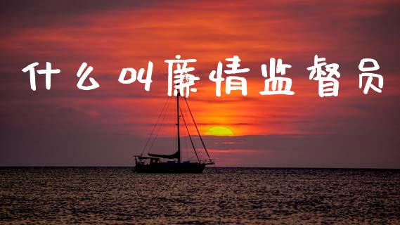 什么叫廉情监督员_https://cj006.lansai.wang_金融监管_第1张