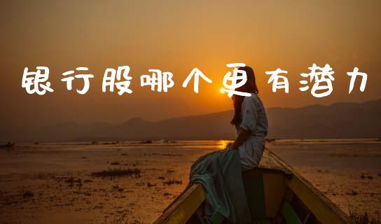 银行股哪个更有潜力_https://cj006.lansai.wang_期货开户_第1张