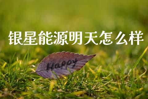 银星能源明天怎么样_https://cj006.lansai.wang_金融监管_第1张