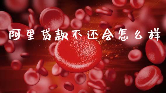 阿里贷款不还会怎么样_https://cj006.lansai.wang_期货开户_第1张