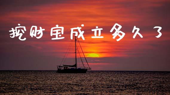 挖财宝成立多久了_https://cj006.lansai.wang_外汇交易_第1张