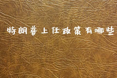 特朗普上任政策有哪些_https://cj006.lansai.wang_财经新闻_第1张
