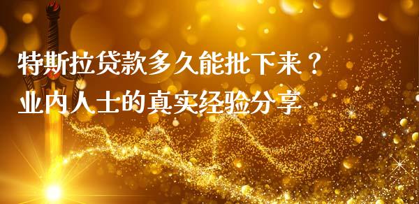 特斯拉贷款多久能批下来？业内人士的真实经验分享_https://cj006.lansai.wang_金融监管_第1张