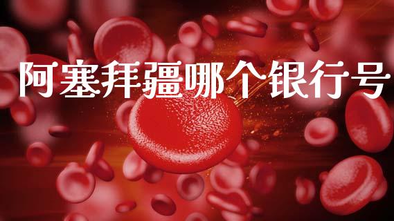 阿塞拜疆哪个银行号_https://cj006.lansai.wang_期货开户_第1张