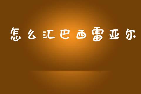 怎么汇巴西雷亚尔_https://cj006.lansai.wang_外汇交易_第1张