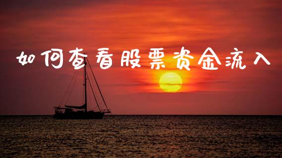 如何查看股票资金流入_https://cj006.lansai.wang_全球市场_第1张