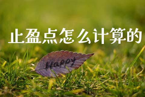 止盈点怎么计算的_https://cj006.lansai.wang_全球市场_第1张