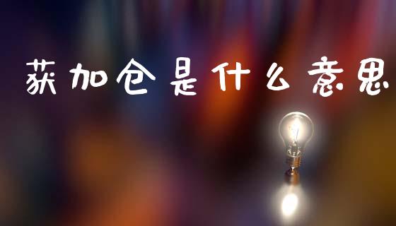 获加仓是什么意思_https://cj006.lansai.wang_债券资讯_第1张