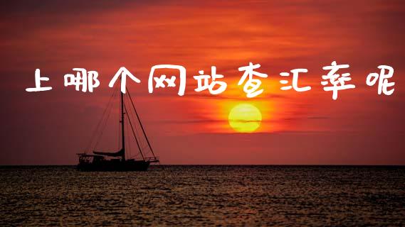 上哪个网站查汇率呢_https://cj006.lansai.wang_财经新闻_第1张