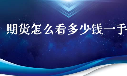 期货怎么看多少钱一手_https://cj006.lansai.wang_外汇交易_第1张