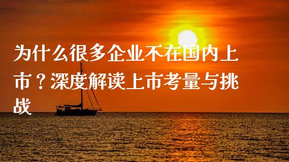 为什么很多企业不在国内上市？深度解读上市考量与挑战_https://cj006.lansai.wang_金融监管_第1张