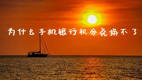 为什么手机银行积分兑换不了_https://cj006.lansai.wang_全球市场_第1张