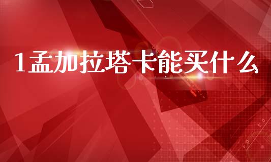 1孟加拉塔卡能买什么_https://cj006.lansai.wang_债券资讯_第1张