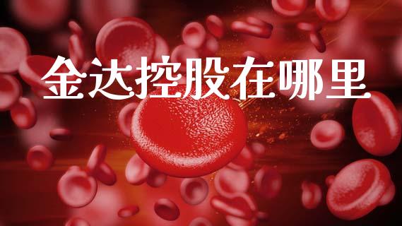 金达控股在哪里_https://cj006.lansai.wang_财经新闻_第1张