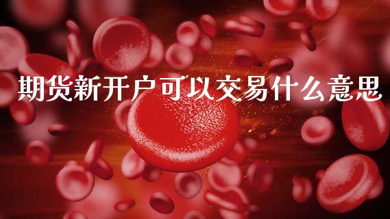期货新开户可以交易什么意思_https://cj006.lansai.wang_债券资讯_第1张