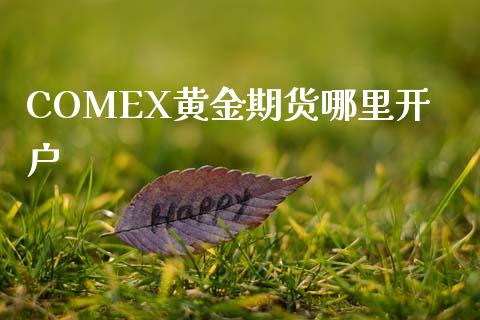 COMEX黄金期货哪里开户_https://cj006.lansai.wang_债券资讯_第1张