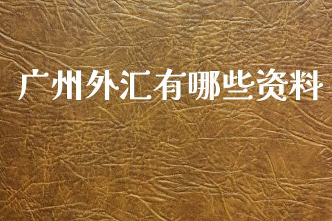 广州外汇有哪些资料_https://cj006.lansai.wang_金融监管_第1张