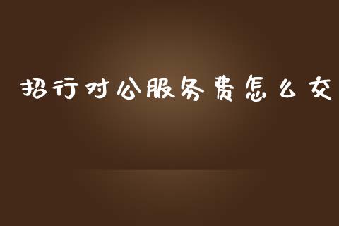 招行对公服务费怎么交_https://cj006.lansai.wang_外汇交易_第1张
