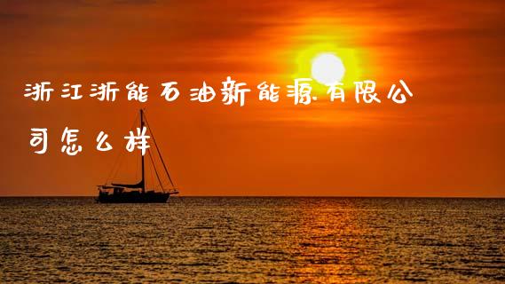 浙江浙能石油新能源有限公司怎么样_https://cj006.lansai.wang_外汇交易_第1张