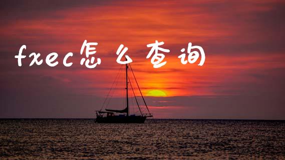 fxec怎么查询_https://cj006.lansai.wang_金融监管_第1张