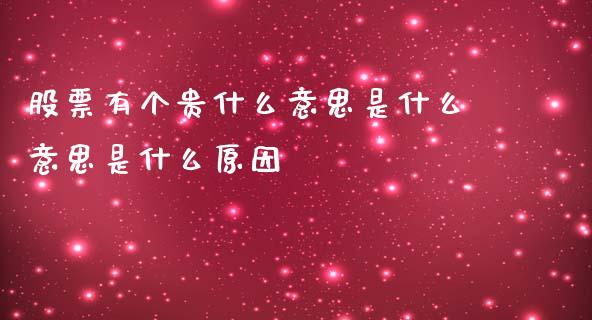 股票有个贵什么意思是什么意思是什么原因_https://cj006.lansai.wang_债券资讯_第1张