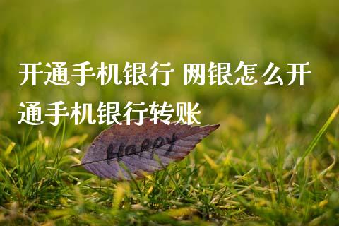 开通手机银行 网银怎么开通手机银行转账_https://cj006.lansai.wang_外汇交易_第1张