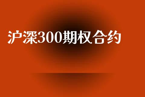 沪深300期权合约_https://cj006.lansai.wang_债券资讯_第1张
