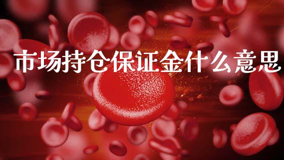 市场持仓保证金什么意思_https://cj006.lansai.wang_金融监管_第1张