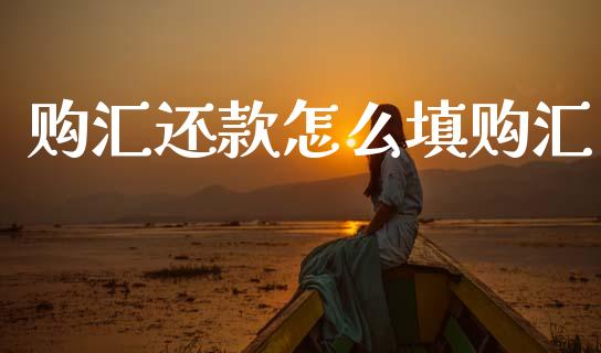 购汇还款怎么填购汇_https://cj006.lansai.wang_全球市场_第1张
