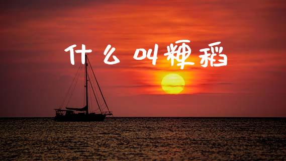 什么叫粳稻_https://cj006.lansai.wang_债券资讯_第1张