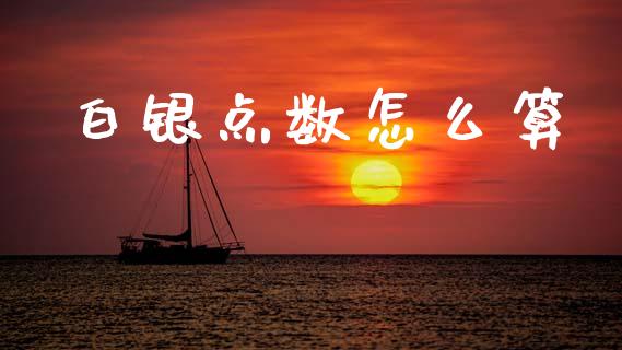 白银点数怎么算_https://cj006.lansai.wang_外汇交易_第1张