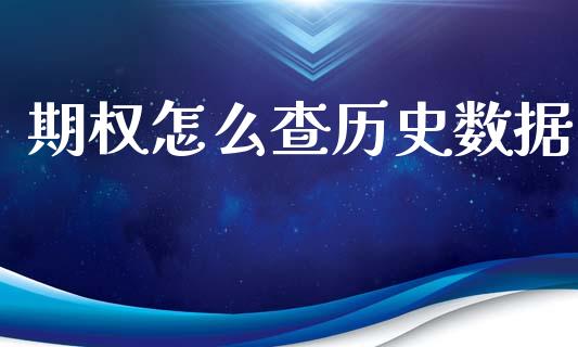 期权怎么查历史数据_https://cj006.lansai.wang_全球市场_第1张