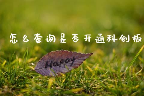 怎么查询是否开通科创板_https://cj006.lansai.wang_债券资讯_第1张