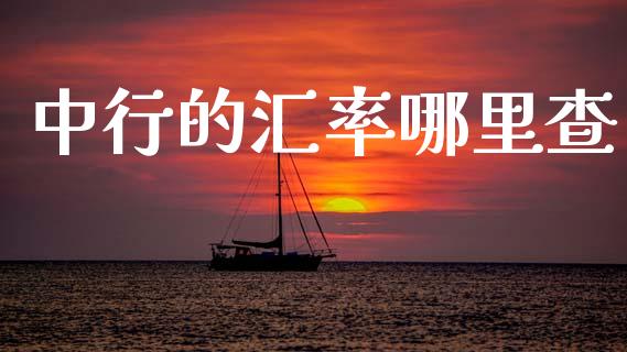中行的汇率哪里查_https://cj006.lansai.wang_财经新闻_第1张