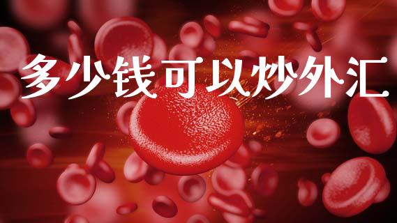 多少钱可以炒外汇_https://cj006.lansai.wang_债券资讯_第1张