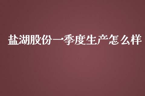 盐湖股份一季度生产怎么样_https://cj006.lansai.wang_债券资讯_第1张