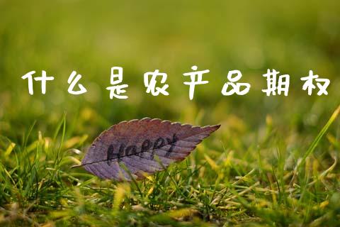 什么是农产品期权_https://cj006.lansai.wang_财经新闻_第1张