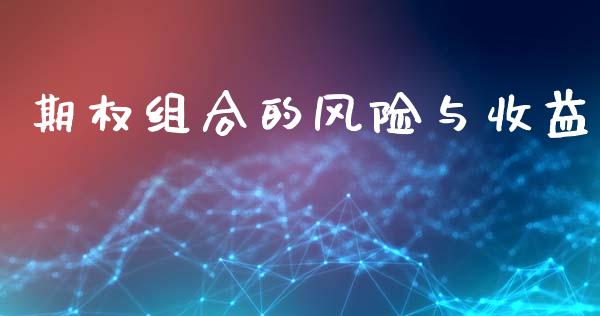 期权组合的风险与收益_https://cj006.lansai.wang_外汇交易_第1张
