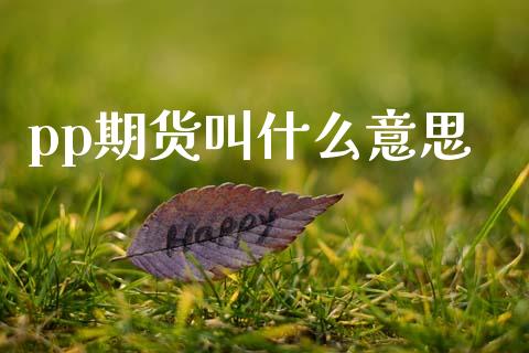 pp期货叫什么意思_https://cj006.lansai.wang_全球市场_第1张