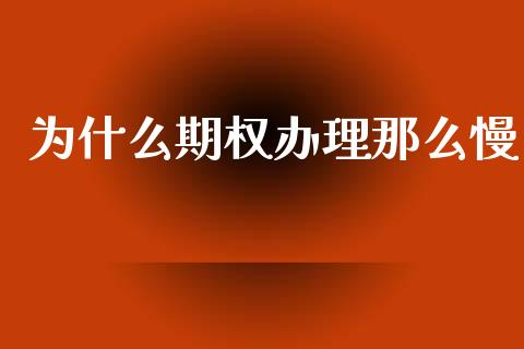 为什么期权办理那么慢_https://cj006.lansai.wang_全球市场_第1张